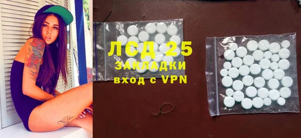 ГАЛЛЮЦИНОГЕННЫЕ ГРИБЫ Бородино