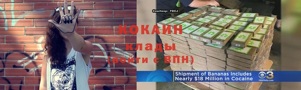 стаф Бронницы