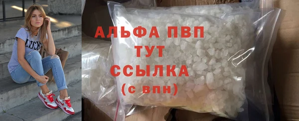 ГАЛЛЮЦИНОГЕННЫЕ ГРИБЫ Бородино
