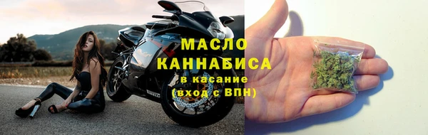 ГАЛЛЮЦИНОГЕННЫЕ ГРИБЫ Бородино