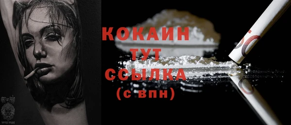 ГАЛЛЮЦИНОГЕННЫЕ ГРИБЫ Бородино