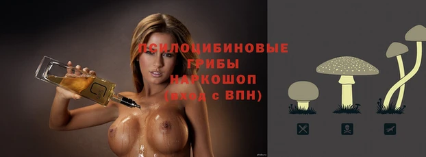 стаф Бронницы