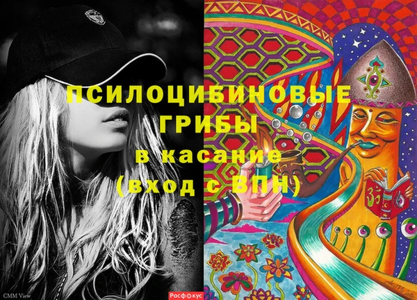 соль ск Верея