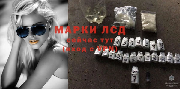 ГАЛЛЮЦИНОГЕННЫЕ ГРИБЫ Бородино