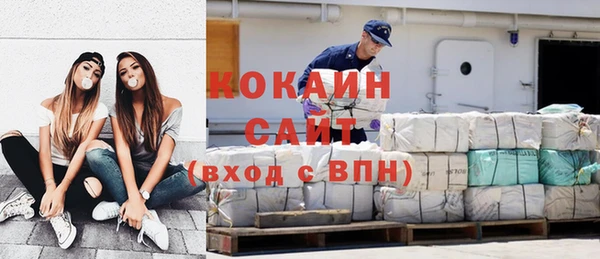 ГАЛЛЮЦИНОГЕННЫЕ ГРИБЫ Бородино