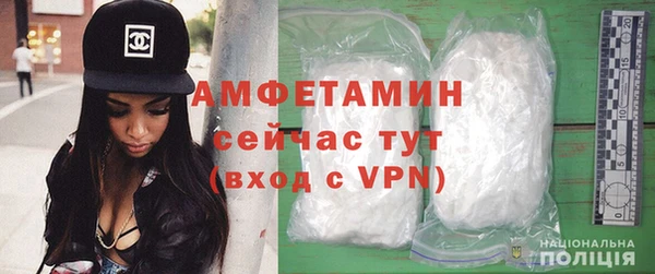 ГАЛЛЮЦИНОГЕННЫЕ ГРИБЫ Бородино