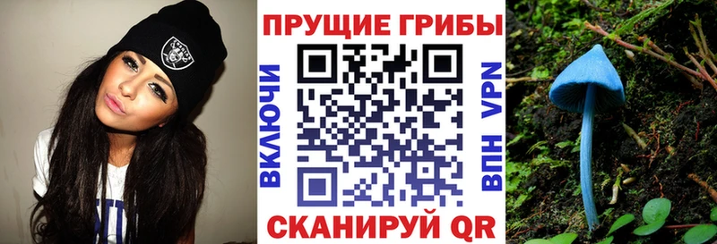 даркнет формула  Кызыл  Галлюциногенные грибы мухоморы  блэк спрут зеркало 